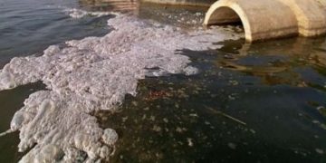 IIT Bombay professor uses nanocarbon Florets to Treat Industrial Effluents 