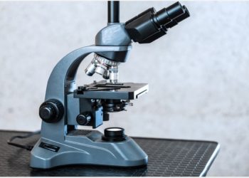 Breakthrough in ‘getting anti bodies inside the cell’