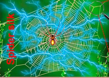Electricity from spider silk 