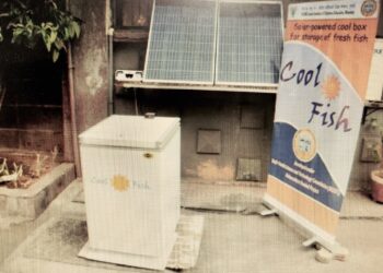 Solar ice box for preserving fish