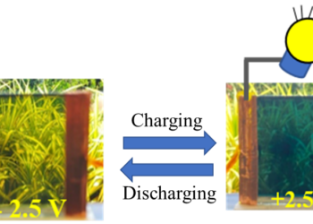 Polymeric, electrochromic smart window that can store energy