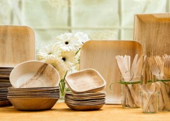 Biodegradable cutleries, cups, glass and plates from agro wastes