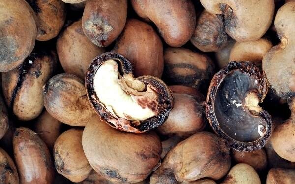 Technology for Cashew nut shell liquid and derivatives by NIIST
