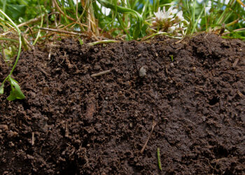 A novel universal multi-nutrient soil extractant for assessing bio-availability of nutrients in soil