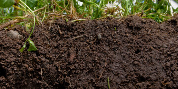 A novel universal multi-nutrient soil extractant for assessing bio-availability of nutrients in soil