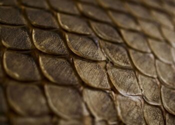 Leather and other products made from fish skin
