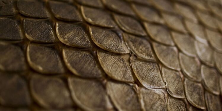 Leather and other products made from fish skin