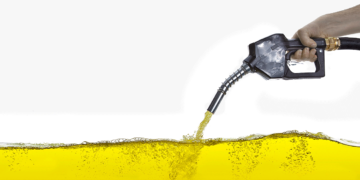 Biodiesel from microalgae