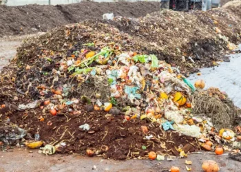 Biogas generation from organic wastes