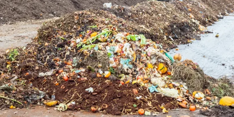 Biogas generation from organic wastes